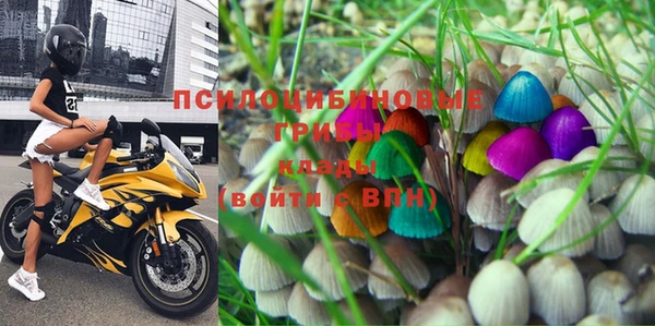 гидропоника Бронницы