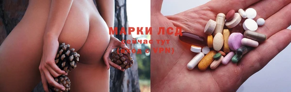 кокс Бородино