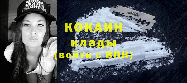 кокс Бородино