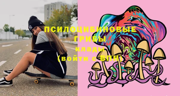 молекула духа Бугульма