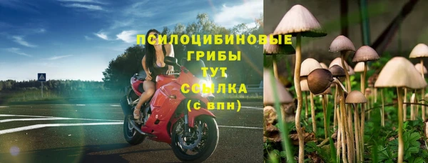 гидропоника Бронницы