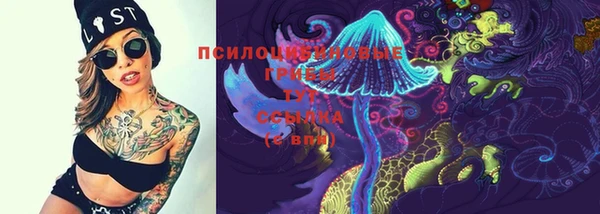 бутират Кукмор