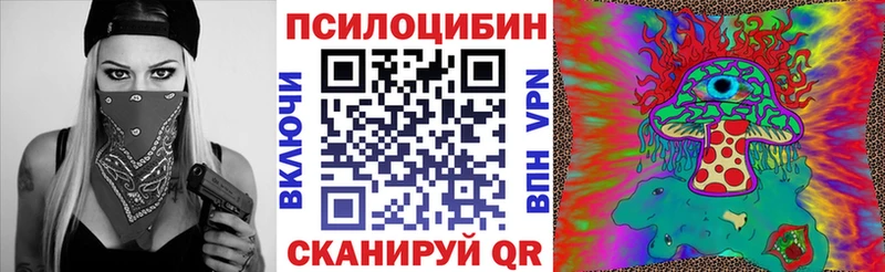мега зеркало  продажа наркотиков  Горняк  Галлюциногенные грибы GOLDEN TEACHER 